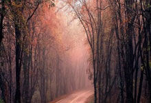 [综合]国足花国家的钱了吗.