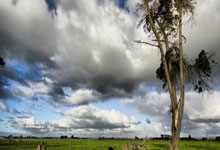 开云体育：图片报：阿森纳热刺关注斯图中场米约，违约金万.