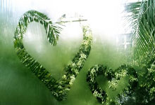 WTA250新加坡站:王欣瑜斩获新赛季首胜.