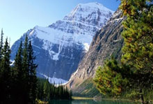 开云体育：图片报：阿森纳热刺关注斯图中场米约，违约金万.