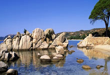 杰伦-布朗本赛季出战59场 距65场评选标准还差6场&常规赛只剩7场！今天凯尔特人客战灰熊 杰伦-布朗&科内特缺阵.